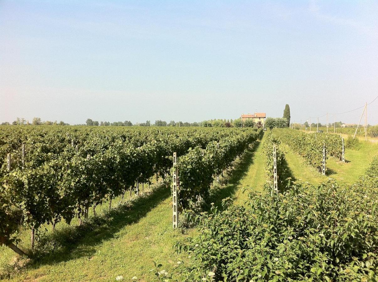 Cascina Tabachera X10 Country House Sirmione Garda Lake Pozzolengo Pokoj fotografie